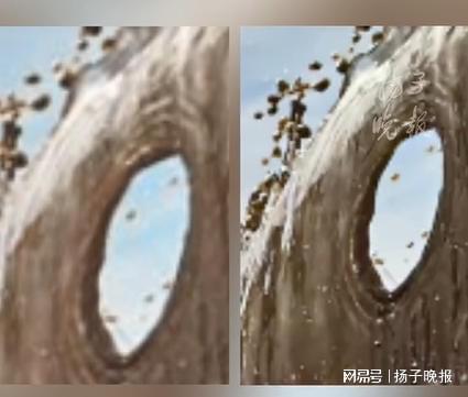 ！中国手机摄影大展一入展作品确认剽窃抄袭j9九游真人游戏第一平台紫牛热点取消荣誉(图1)