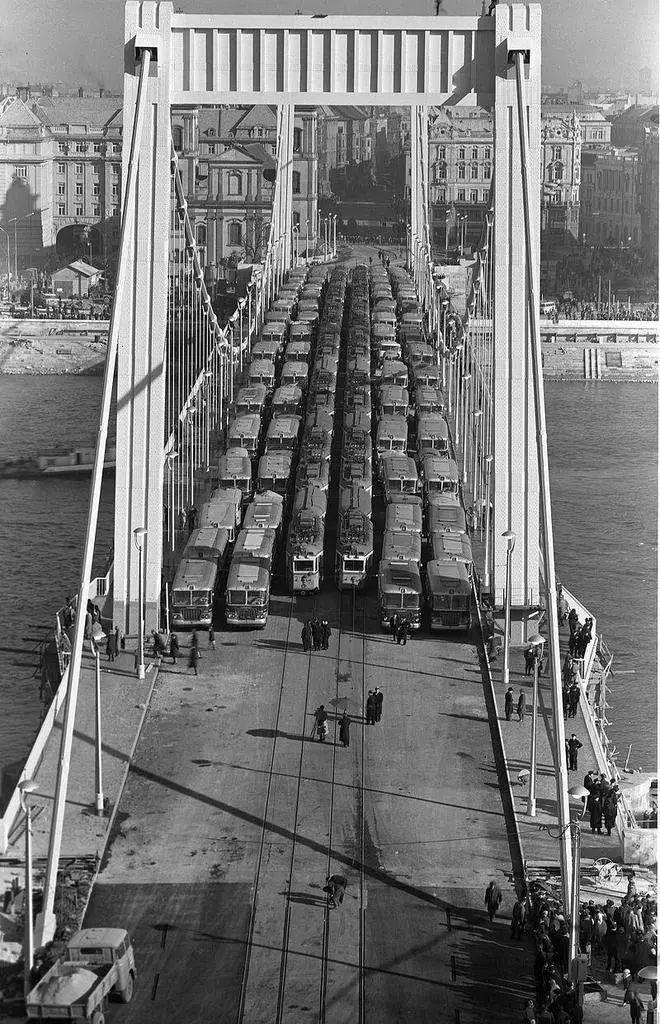 难弄到手的照片九游会网站极(图13)