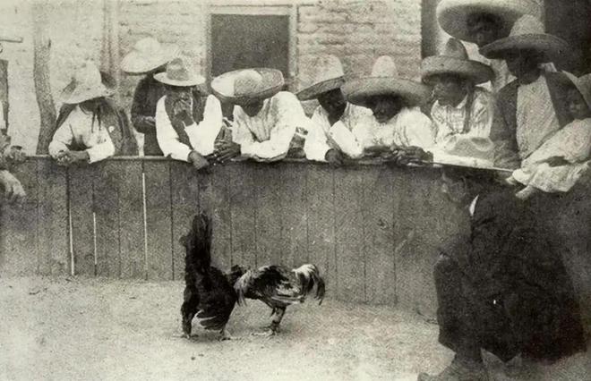 难弄到手的照片九游会网站极(图20)